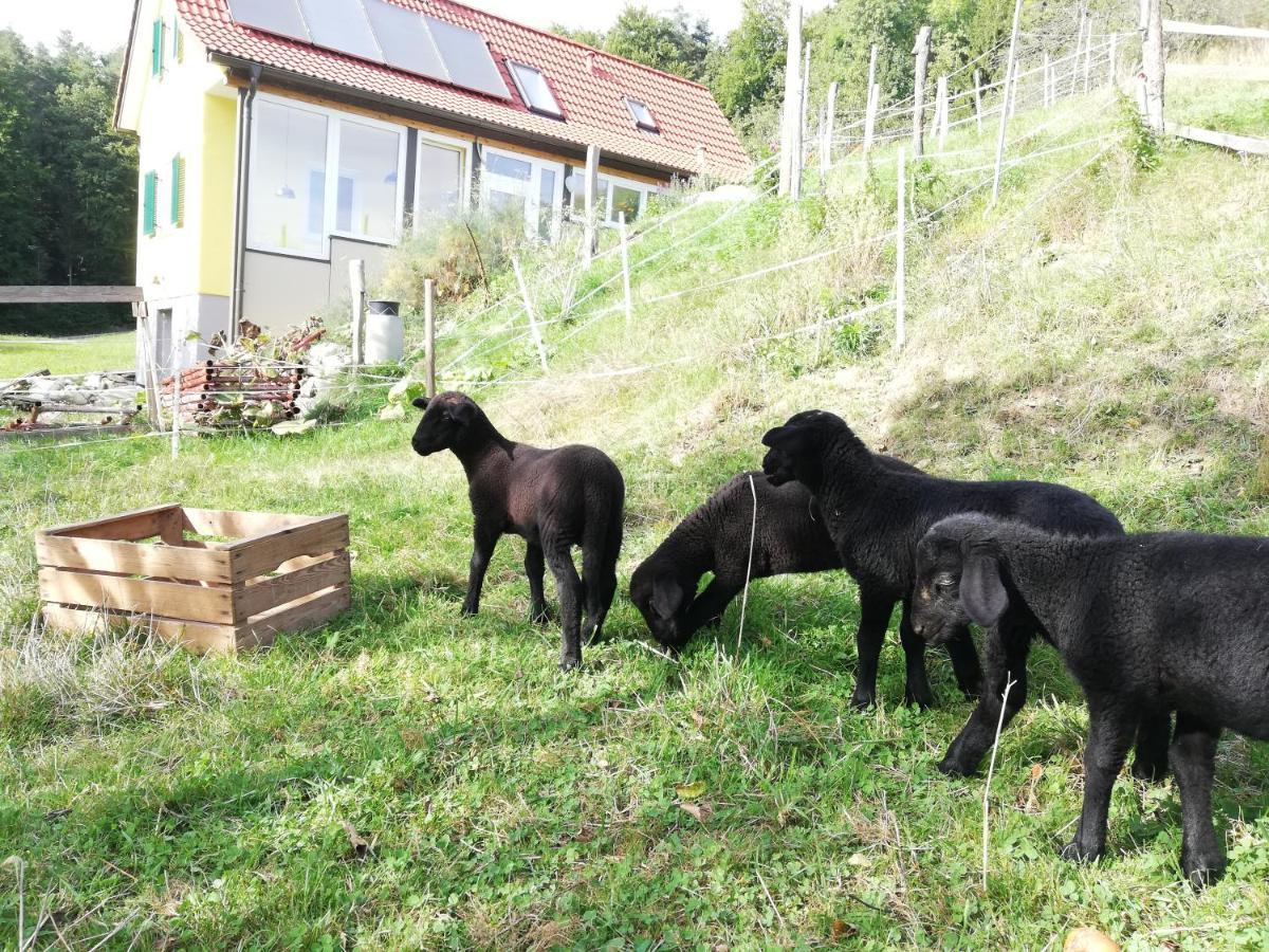 Ferienhaus Grabenhansl Stubenberg Eksteriør billede