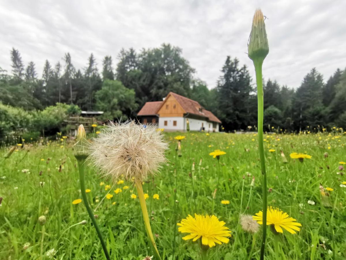 Ferienhaus Grabenhansl Stubenberg Eksteriør billede