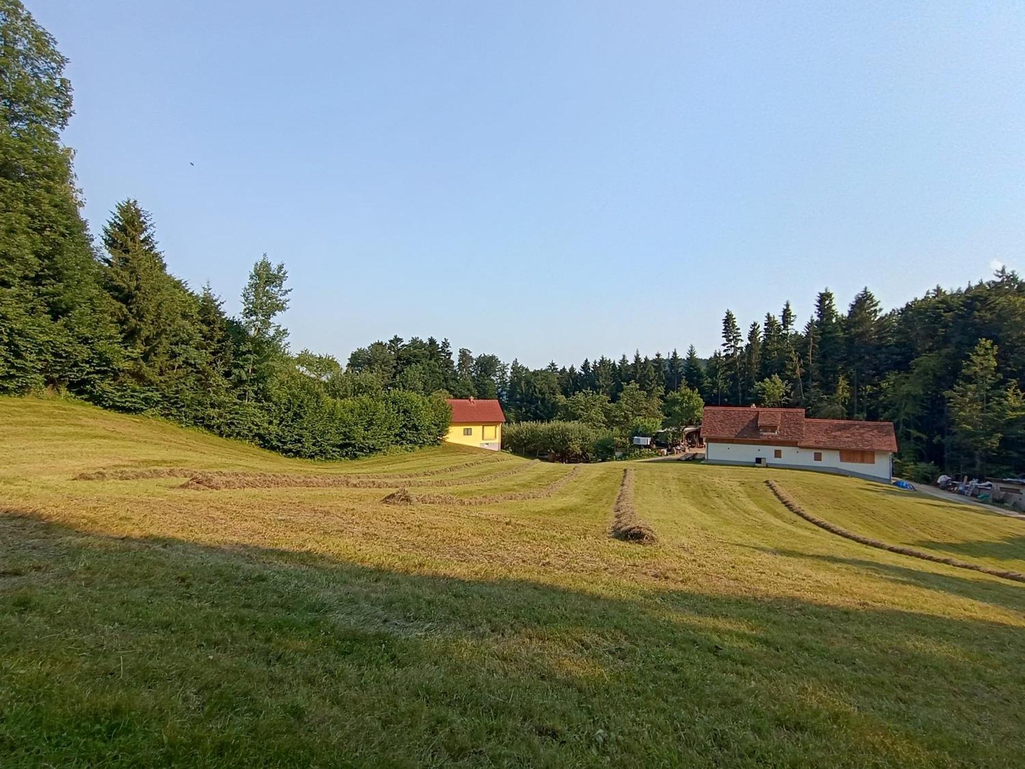 Ferienhaus Grabenhansl Stubenberg Eksteriør billede